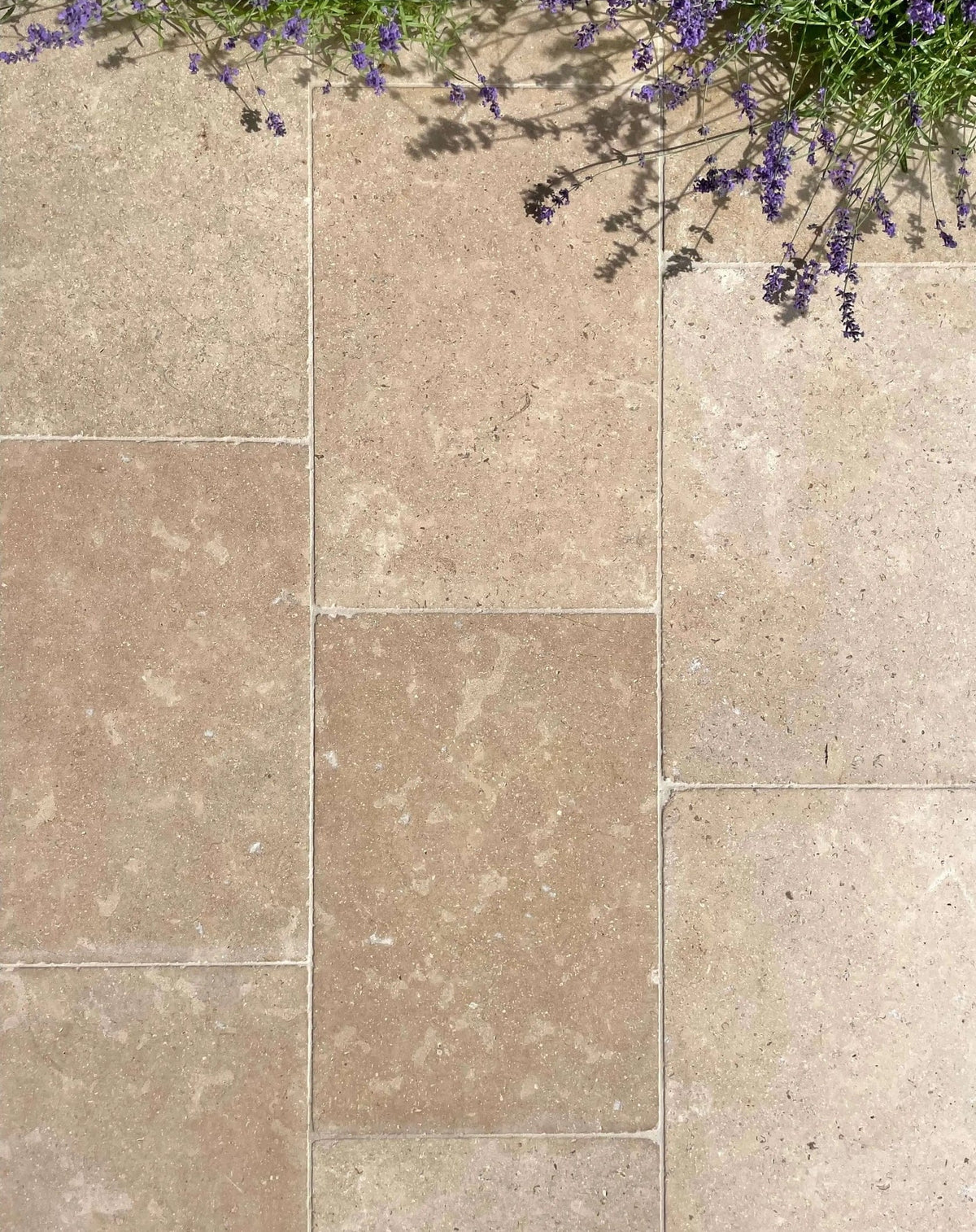 dijon sinai limestone acid wash tumbled