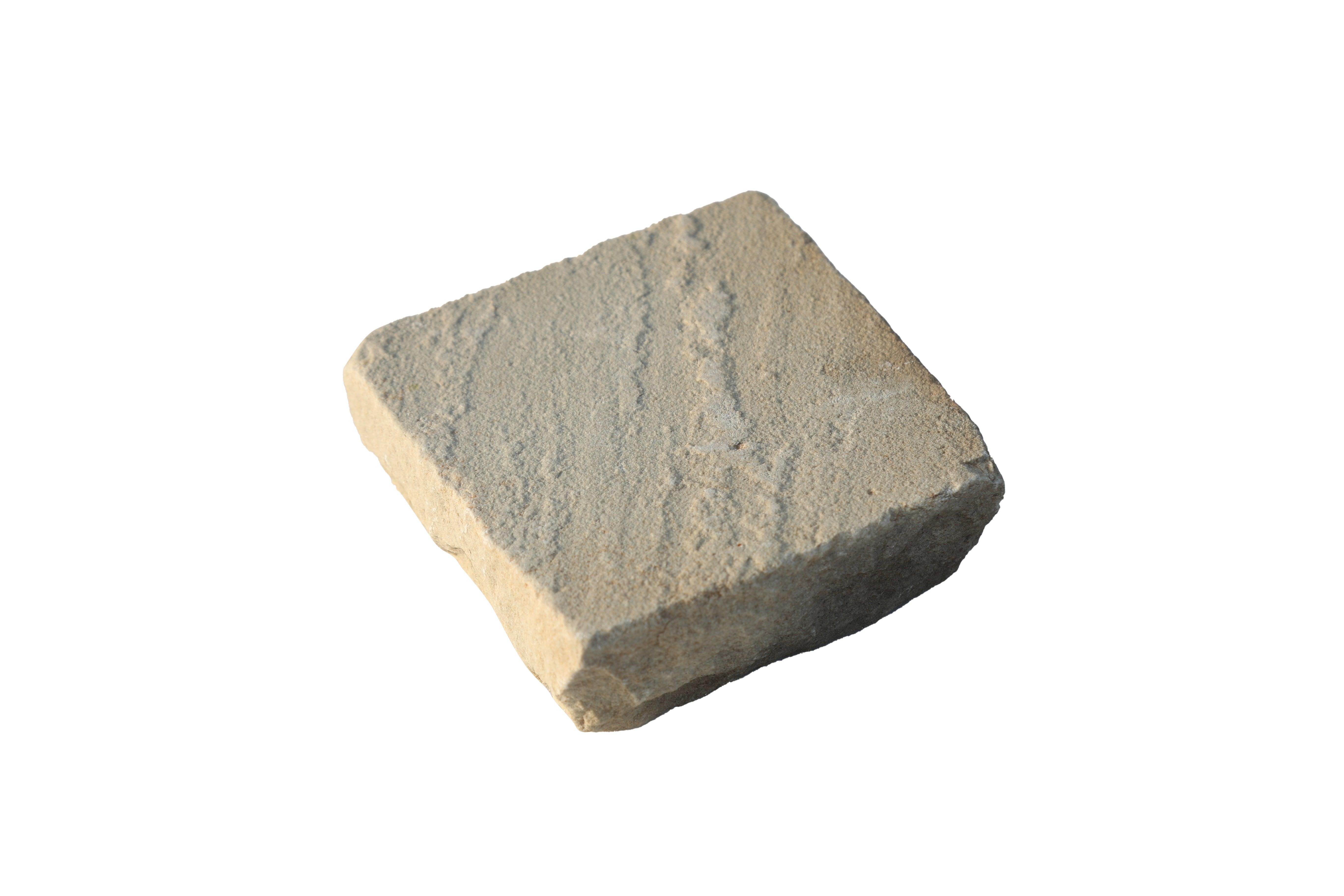 fossil mint sandstone cobbles 10x10 cm