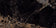 Jadore Black & Gold Indoor Porcelain Tile - 600x1200x7mm