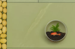 Sandstone 900x600 RANGE