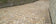 Fossil Mint Setts - Handcut - 20x10 cm - 40-50 mm - 400 Pcs - 9sqm