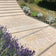 Dijon Sinai (Sinai Pearl) Limestone Antique - 600x900 - 20mm