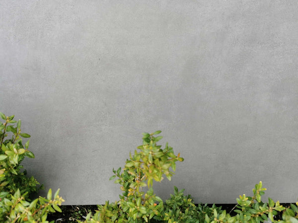 Smoke Grey Outdoor Porcelain Paving Tiles - 900x600 - 20mm