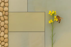 Smooth Sandstone
